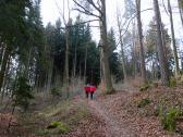  Wanderroute auf schnen Waldwegen 