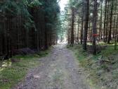  Wanderroute auf schnen Waldwegen 
