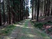 Wanderroute auf schnen Waldwegen am Haugendtberg 