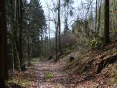 Wanderroute auf schnen Waldwegen am Haugendtberg 