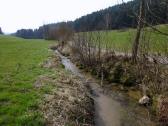  Blick auf den Etzenbach 