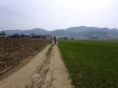  Blick auf die Wanderstrecke nach Kronau 