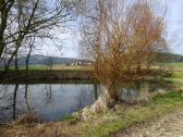  kleiner Teich bei einem Gehft 