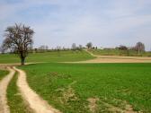  Blick auf die Wanderstrecke zu den Mayrhfen 
