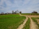  Blick auf die Wanderstrecke zu den Mayrhfen 