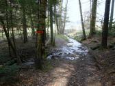  Furt durch den Etzenbach 