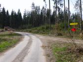  Wanderroute auf schnen Forstwegen des Zelletau 