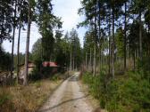  Wanderroute auf schnen Forstwegen des Zelletau 