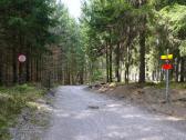  Wanderroute auf schnen Forstwegen des Zelletau 