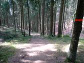  Wanderroute bergab nach Manzenreith 