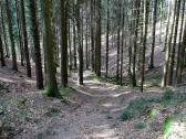  Wanderroute bergab nach Manzenreith 
