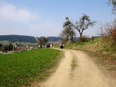  Wanderweg nach Freistadt 