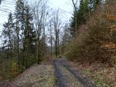  Wanderroute auf schnen Waldwegen 