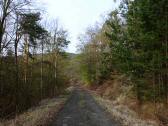  Wanderroute auf schnen Waldwegen 