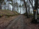  Wanderroute bergan auf schnen Waldwegen 