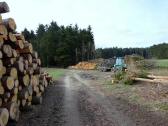  jede Menge geschlgertes Holz 