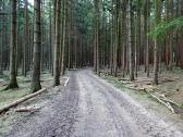  Wanderroute durch die Waldriede Helmheldin 
