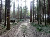  Wanderroute durch die Waldriede Helmheldin 