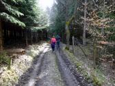 Wanderroute entlang der Altmannsleiten 