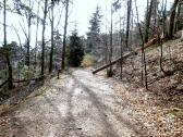  Wanderroute entlang der Altmannsleiten 