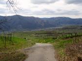 sehr schner Fernblick ins Donautal Richtung Wsendorf