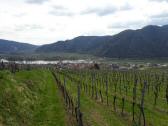  schner Fernblick nach Weienkirchen in der Wachau 