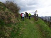  Blick auf die Wanderroute am Vorderseiber 