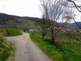  Wanderroute am Weinwanderweg 