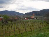  Blick nach Weienkirchen in der Wachau 