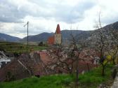  Blick zur Wehrkirche und Pfarrkirche Weienkirchen 