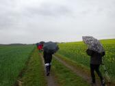 Blick auf die Wanderroute durch die Riede "Breite cker" 