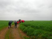 Blick auf die Wanderroute durch die Riede "Breite cker" 