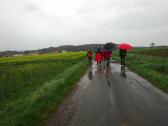 Blick auf die Wanderroute durch die Riede "Lssfeld" nach Liebnitz 