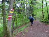  Wanderweg entlang der Thaya 