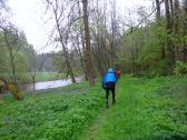  Wanderweg entlang der Thaya 