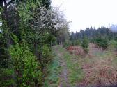  Wanderweg oberhalb der Thaya 
