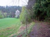  Wanderweg oberhalb der Thaya 