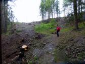  Wanderweg leicht bergan zur Plapperthtte 