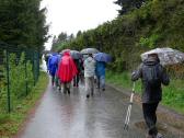  Marathonis in Oberndorf bei Raabs 