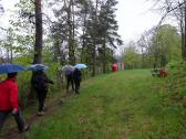  Wanderweg am Hang des Geisberg 