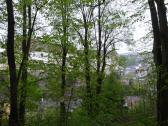  Blick zur Burg Raabs 