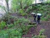  Wanderweg am Hang des Geisberg 