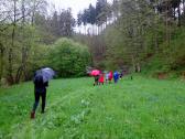  Wanderweg entlang der Thaya 
