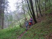  Wanderweg oberhalb des Seebsbachs 