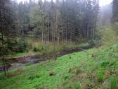  Impression vom Seebsbach 