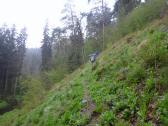  Wanderweg oberhalb des Seebsbachs 