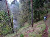  Wanderweg oberhalb des Seebsbachs 