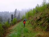  Wanderweg oberhalb des Seebsbachs 