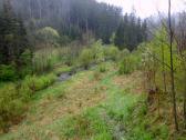  Wanderweg oberhalb des Seebsbachs 