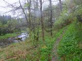  Wanderweg entlang des Seebsbachs 